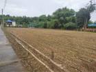 ์ืNice Land Farm 1 Rais for sale Chaing Mai