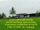 บ้านสวนคลอง 10 ที่ดินจัดสรรแปลงเล็กสดผ่อนได้  T.062-1574449