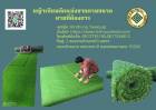 “#หญ้าเทียมตัดให้ฟรีตามขนาดสวนหญ้าเกรดโครงการT/L 0813735190 Artificial grass cut for free according to the size of the garden grass ตัดตาม ขนาดหน้าบ้าน  ตัดตามขนาดในสวน ตัดตามขนาดในบ้าน ตัดตามขนาดผนัง