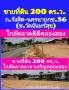 ขายที่ดิน 200 ตร.ว.ถ.รังสิต-นครนายก ซ. 56 (ซ.วัดจันทร์สุข) อ.ลำลูกกา จ.ปทุมธานี 