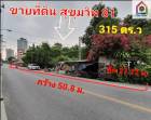 ขายที่ดินเปล่า สุขุมวิท 81 พน. 315 ตร.ว แปลงสวย 