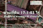 ขาย ที่ดิน ที่ดิน เนื้อที่ 17-1-03 ไร่       17 ไร่ 1 งาน 03 ตร.วา