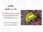 ที่ดินติดหมู่บ้านไลโอ3 เนื้อที่11-2-1ไร่