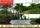 For Sales Land  Kathu, Near Phumontra , 323 Sq.w.