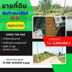 ขาย ที่ดิน ใกล้ นิคม สินสาคร 1 กม. พันท้ายนรสิงห์ 