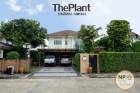 ขายบ้านเดี่ยว ThePlant รามอินทรา-วงแหวน2 เพียง3นาทีถึงห้างแฟชั่นส์ไอส์แลนด์