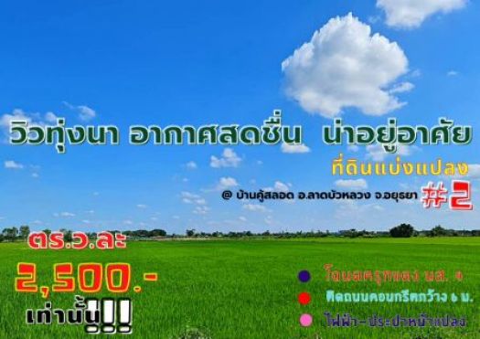 ขายบ้านและที่ดินลาดบัวหลวง - บ้านและที่ดินพระนครศรีอยุธยา ขาย ที่ดิน  ติดถนนคอนกรีต น้ำไฟอยู่หน้าแปลง100 เมตรโครงการเฟส2 ลาดบัวหลวง 1 ไร่  ทุกแปลงติดถนนสาธารณะกว้าง 6เมตร ลงโฆษณาขายที่ดิน