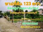 ขาย ที่ดิน ติดหมู่บ้านศุภาลัยวิลล์ 123 ตร.วา ใกล้ศูนย์ราชการนนทบุรี