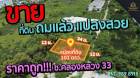 ขายด่วนที่ดิน ซอยคลองหลวง 33 เนื้อที่ 101 ตรว.