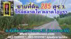 ขายที่ดิน 285 ตร.ว. ขาย2.4-ล้าน(รวมโอน) ถ.รังสิต-นครนายกซอย 31 ซอยบงกช 55 ซอยวัดชอุ่ม ใกล้ตลาดไท ตลาดไอยรา อ.คลองหลวง จ.ปทุมธานี   