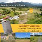 ขายที่ดิน229ว.1.2ล.ฟรีโอน ต.ร้องวัวแดง สันกำแพง ชม.