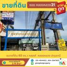 ขาย ที่ดิน พื้นที่ขนาดใหญ่ 60 ตารางวา ขายที่ดินด่วน ทำเลในซอยคลองหลวง 21  60 ตร.วา รวมทุกค่าใช้จ่าย