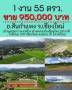 ที่ดินเชียงใหม่ 155 ตรว ขายเพียง 950,000 บาท ฟรีโอน