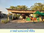 ขายถูกมาก ที่ดิน 298 ตร.วา ซอยชมเชย สุขาภิบาล 6