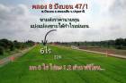 ที่ดินคลอง 8 หนองเสือ ซอยบึงบอน47/1