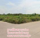 ขายที่ดิน 2ไร่ โครงการแผ่นดินทอง  อ.สามพราน นครปฐม  