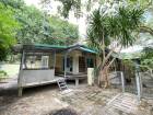 For Rent : Thalang, One-Story Detached House @Manik,2B2B