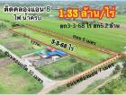 ที่ดินคลองแปด บึงบอน 11 หนองเสือ น้ำไฟพร้อม ติดถนน 3 ไร่ 3 งาน 68