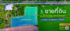 ขายที่ดิน 14 ไร่ เส้นบายพาส 126 พิษณุโลก ใกล้ศาลากลางใหม่