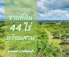 ขายที่ดินพร้อมสวนติดเชิงเขา   ทำเลทอง อำเภอสอยดาว จังหวัดจันทบุรี