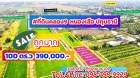 ที่ดินคลอง9 หนองเสือ ปทุมธานี 100 ตรว. 390,000 บาท