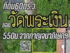 ที่ดิน60ตร.ว. ซอยวัดพระเงิน