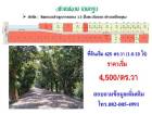 ขายที่ดินติดถนนลำลูกกาคลอง 13