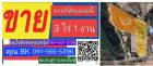 vายที่ดินด่วน พร้อมสิ่งปลุกสร้าง-หนองรี ชลบุรี 